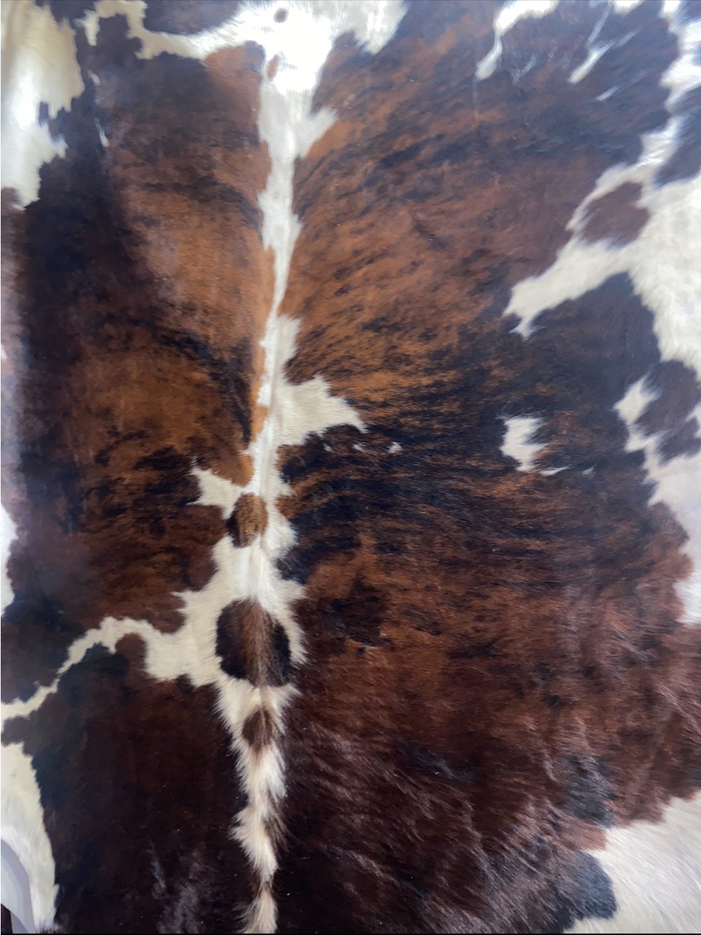 Cowhide rugs